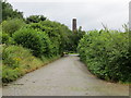 The cobbled Woodhill Road in Burrs Country Park