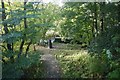 Railway trackbed, Hawes