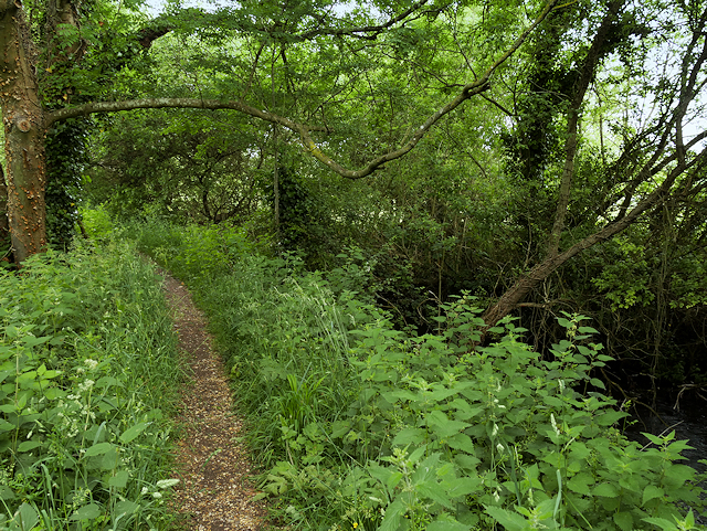 The Itchen Way near Bishopstoke © David Dixon cc-by-sa/2.0 :: Geograph ...