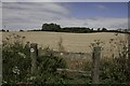 Footpath near Lower Glebe Farm