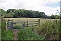TM0833 : Kissing Gate on the Stour Valley Path by Glyn Baker