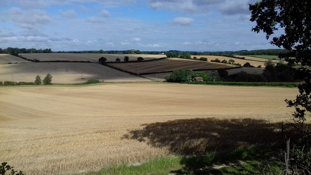Near Aston, nearly time for harvest