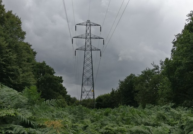 Electricity pylon at Piles Coppice