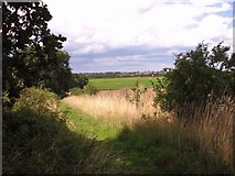 TG2404 : Boudica's Way past Caistor chalk pit by Evelyn Simak