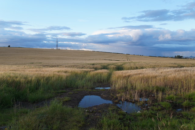 Fields on Falside Hill, near Wallyford