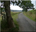 Track heading south along the Severn Valley