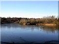 Lake in winter in Southwater Country Park