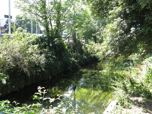 A reedy Fray's River