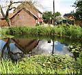 The village pond in Surlingham