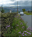 Otley Road descending towards East Morton