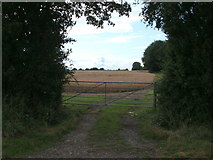 TL6206 : Gated farm track off National Cycle Route 1 by JThomas