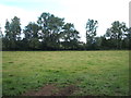 Farmland off Cow Watering Lane