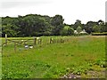 Trackbed of the former Taunton to Barnstaple Railway