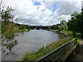 Ribble Viaduct from Riverside Road