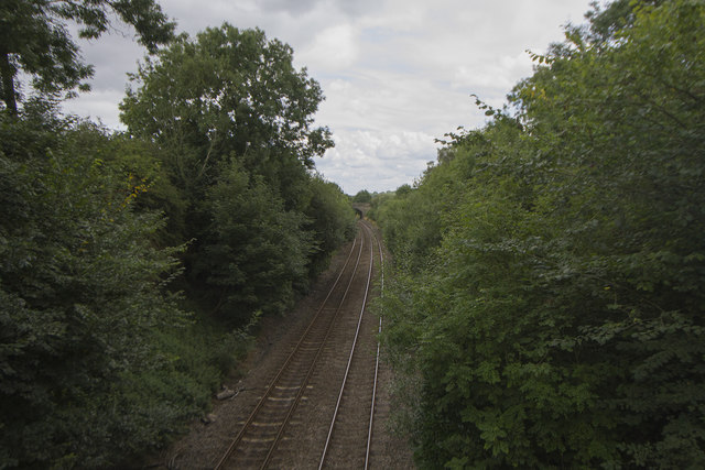 A green railway cutting