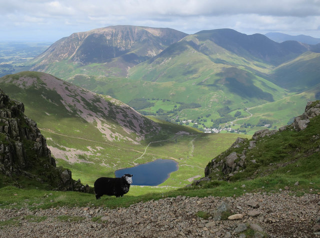 Lamb and Bleaberry Tarn
