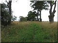 Bridleway between arable fields