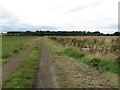 Farm track and bridleway