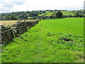 Wallside Footpath and Bridleway passing through fields near Hardgate