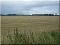 Stubble field off Spains Hall Road