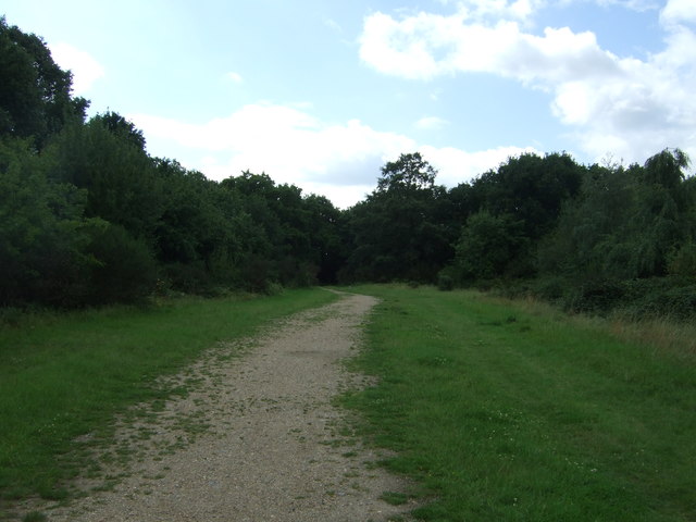 Path towards Hollow Pond