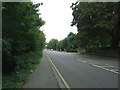 Epping New Road (A104)