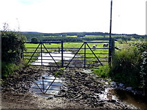 H3480 : Muddy gate entrance, Tamnagh by Kenneth  Allen