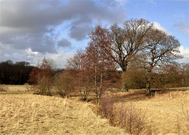 Late winter in the Brede Valley
