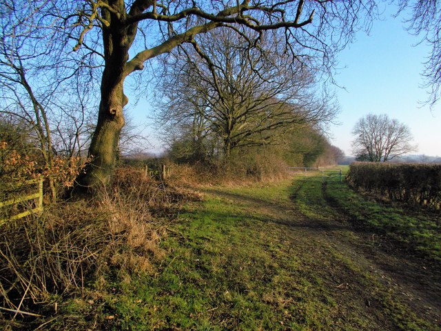 Edingley path from Farnsfield