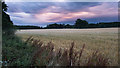 Dramatic evening light at Bennybeg