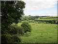 View towards Brimpsfield Park from the churchyard