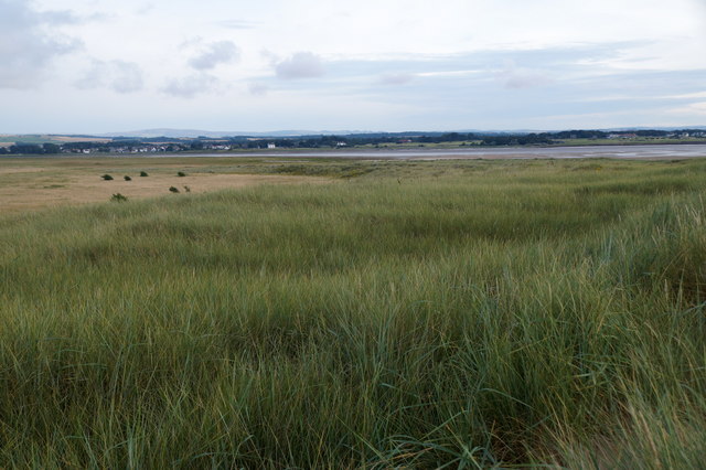 The dunes at Aberlady Bay
