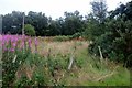 Scrubland by the railway at Dalwearie