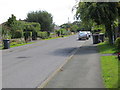 Refuse Collection Day in Hollins Lane, Hampsthwaite