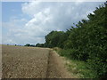 Crop field beside Cobbin