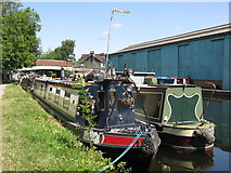 TQ0483 : The Grand Union Canal south of the Rockingham Road bridge (no.186) (2) by Mike Quinn