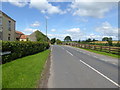 Seskinore Road, Drumconnelly