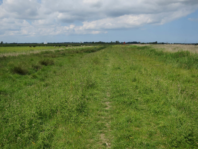 Path by the River Bure