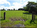 An open field, Tattyreagh Glebe