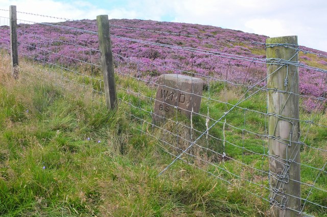 Boundary stone north of Allermuir Hill
