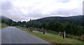 Cycle Track crosses the Whinlatter Pass