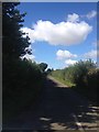 Quiet Lane near Loddington