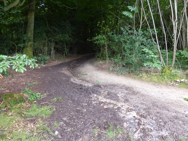 Junction of path with track in Ridge Plantations