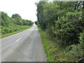 Roadside verge near Racecourse Farm