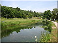 The Thames and Severn Canal, looking downstream