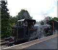 SJ9542 : Bellerophon on the  Foxfield Railway by Gerald England
