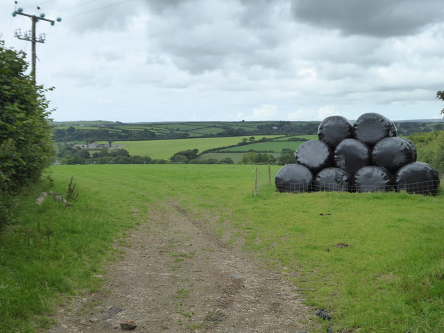 Silage bales in a field at Tresquare