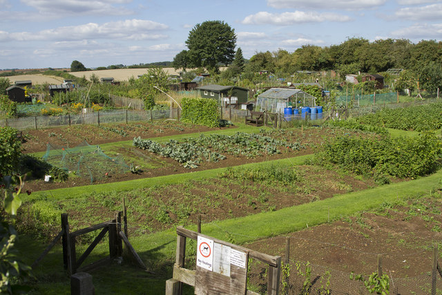 Brixworth Allotments © Malcolm Neal cc-by-sa/2.0 :: Geograph Britain ...