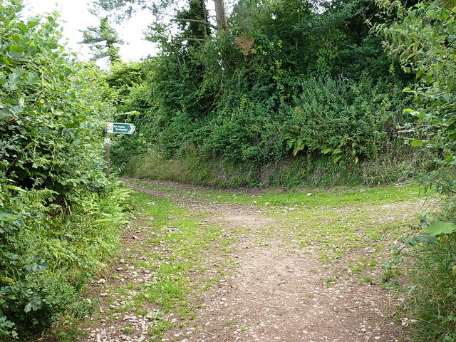 Path junction near Harecombe Farm