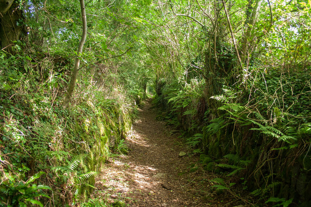 Footpath to Meavy